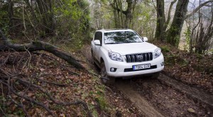Land Cruiser